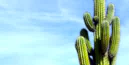 Çizilme Dayanımlı Camlar